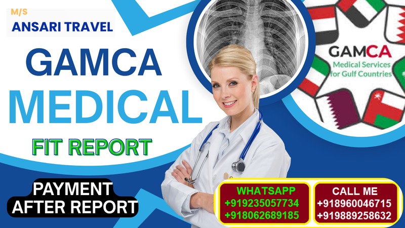 Travel document assistance